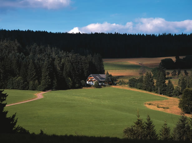 haus-weiter-weg.jpg