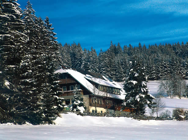 salenhof-winter2.jpg